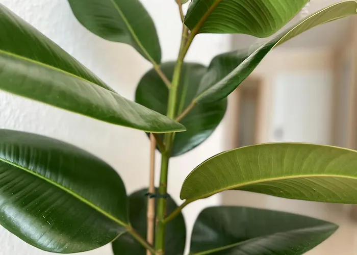 Golden Design Apartment, Zentral, Familie Und Business, 1000 Mbit Lejlighed